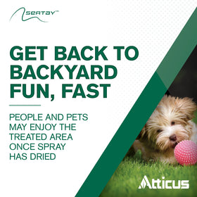 Sertay before overseeding supports cleaner ryegrass establishment