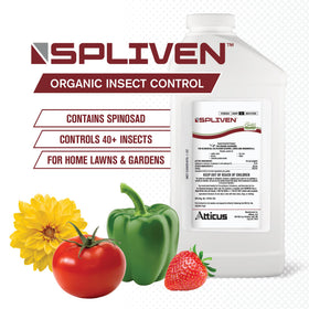 Atticus Spliven on leaves shows pest protection for vegetables.