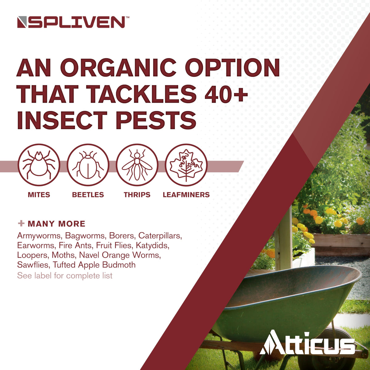 Atticus Spliven used on lawn and landscapes to deter pests.