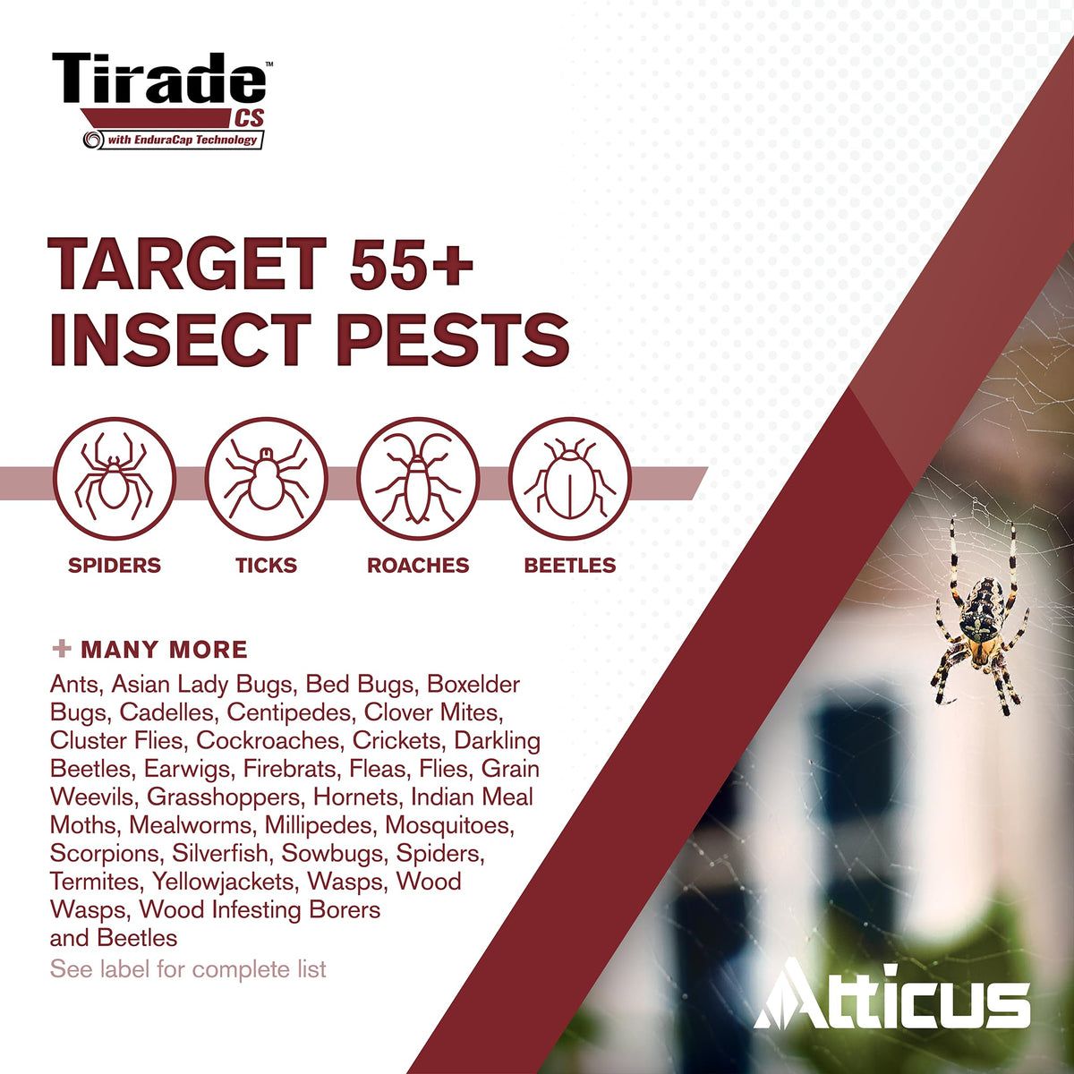 Atticus Tirade CS being applied as a surface treatment indoors.