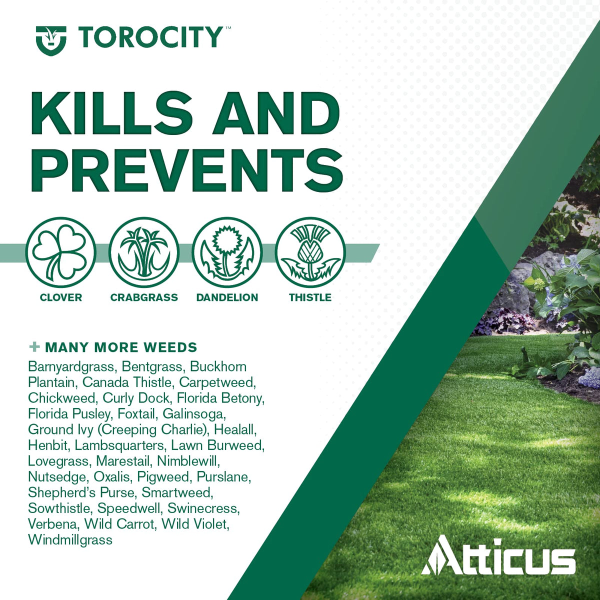 Atticus Torocity broad-spectrum weed control targets crabgrass, clover, oxalis, and more.