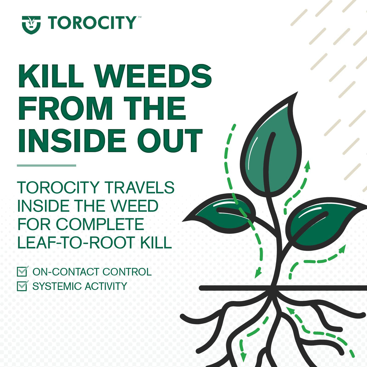 Atticus Torocity activates with water and offers flexible timing for application.