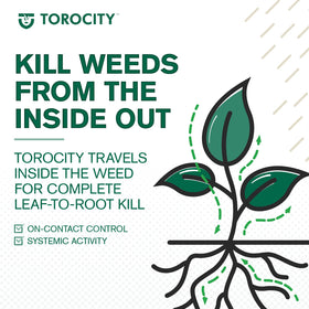 Atticus Torocity activates with water and offers flexible timing for application.