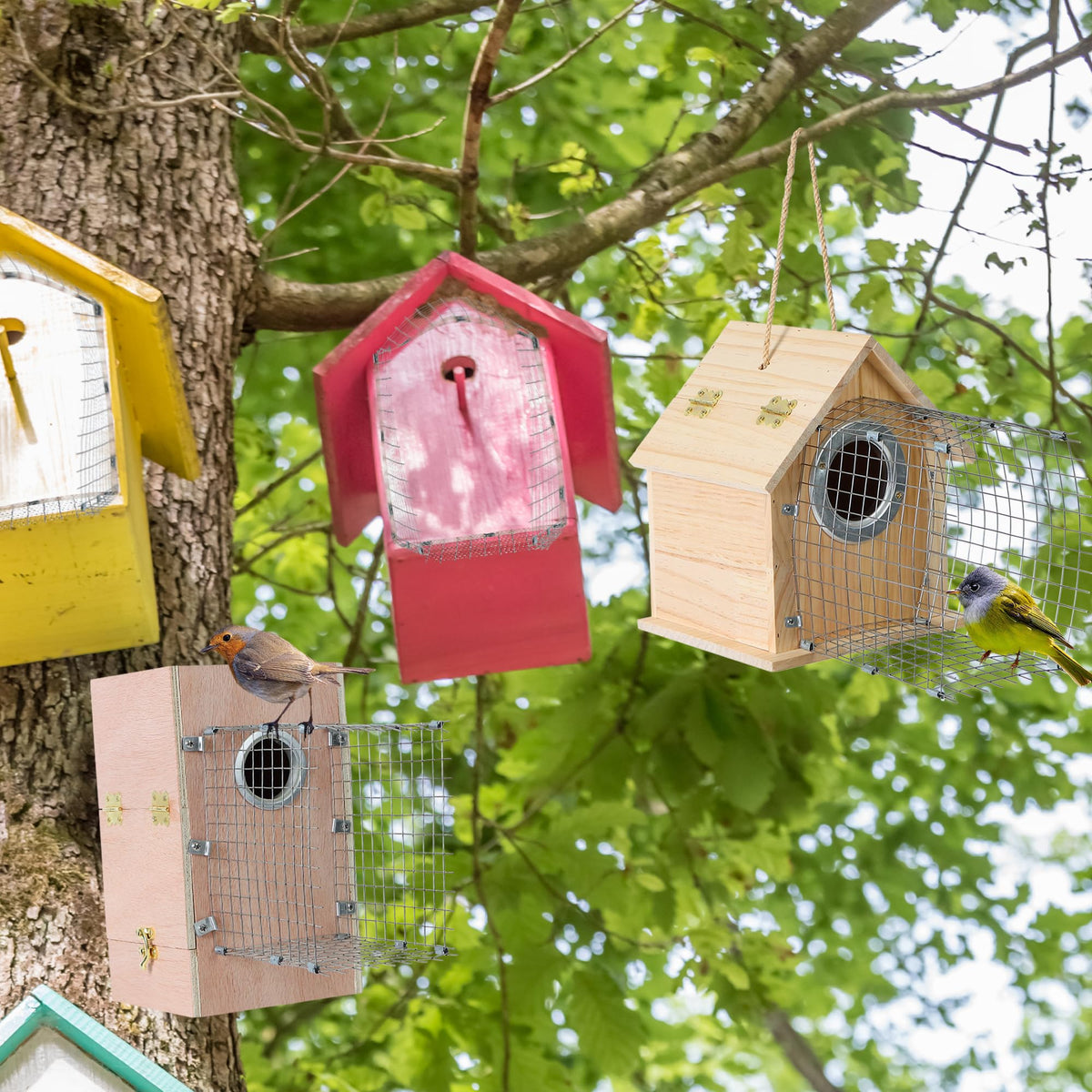 Ideal for Eastern bluebirds and their babies in safe nesting seasons.