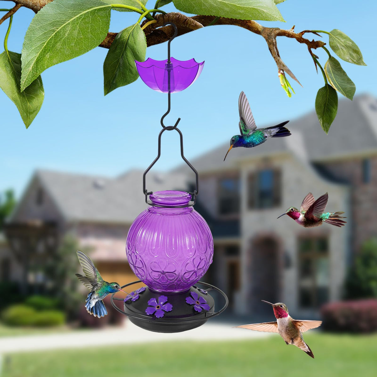 Aubingmotor hummingbird feeder with five ports invites multiple visits