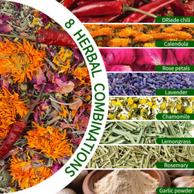 AUBOEAY 8-ingredient blend with garlic and chili supports digestion and a calm coop.