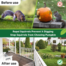 AUDQQM Squirrel Repellent Pouches in attic help keep spaces undisturbed.