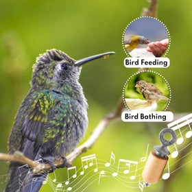 Audubon Bird Call Birch with zinc plug highlights durable outdoor construction.