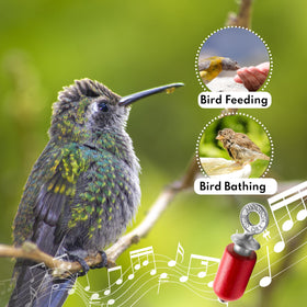 Audubon Bird Call with powdered rosin included for maintaining voice quality.