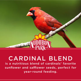 Audubon Park Cardinal Blend close-up of sunflower and safflower seeds