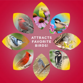 Audubon Park Cardinal Blend safflower seeds deter squirrels