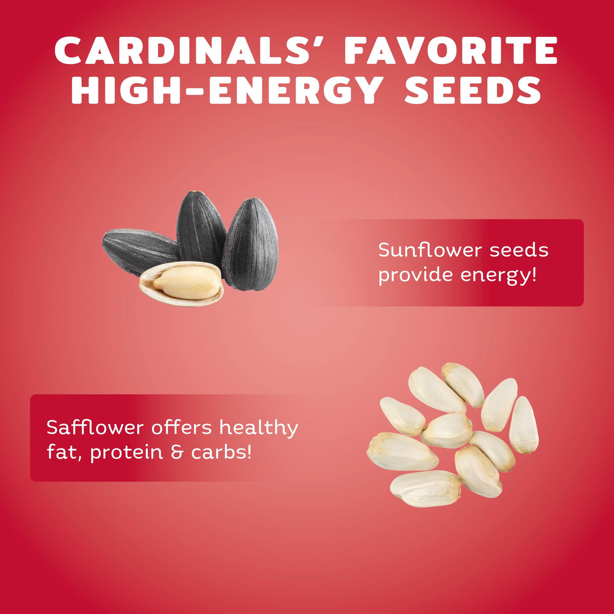 Audubon Park cardinal seed blend served in a feeder attracts more visitors