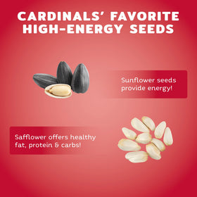 Audubon Park cardinal seed blend served in a feeder attracts more visitors