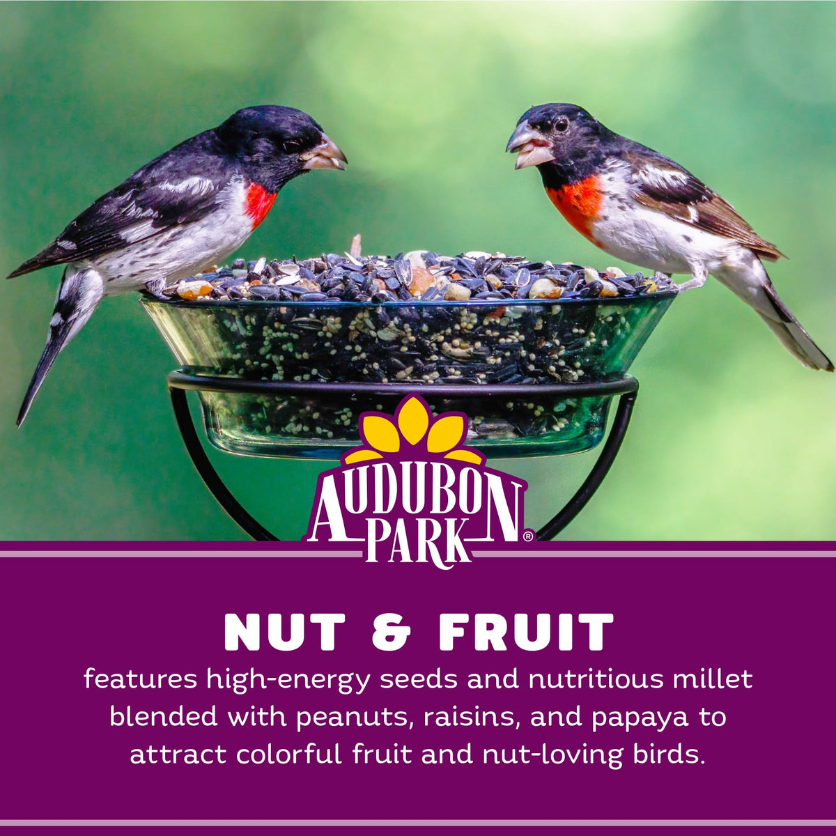 Audubon Park dried fruit mix with raisins and papaya enticing fruit-loving birds