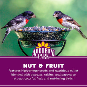 Audubon Park dried fruit mix with raisins and papaya enticing fruit-loving birds