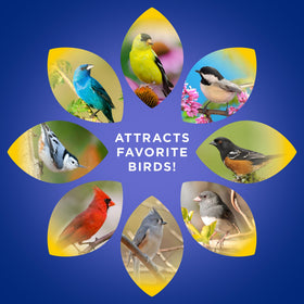 Audubon Park Extreme Variety in outdoor feeders attracts multiple bird species
