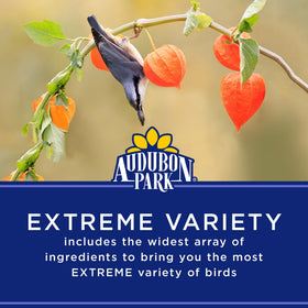 Audubon Park Extreme Variety seed mix closeup reveals sunflower kernels and raisins