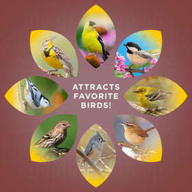 Birds at a hopper or tube feeder with Audubon Park seeds.