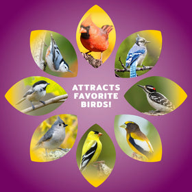 Outdoor feeder filled with Audubon Park mix for year-round feeding