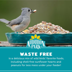Audubon Park outdoor feeder-ready blend attracts songbirds.