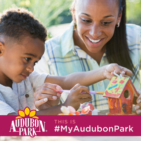Ready-to-use Audubon Park sunflower hearts for outdoor feeders.
