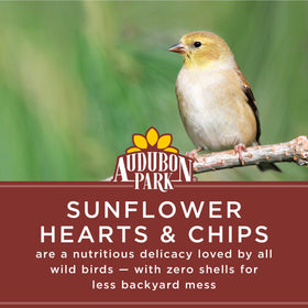 Audubon Park shell-free seeds close-up ideal for clean backyard feeding.
