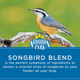 Audubon Park Songbird Seed Mix closeup highlighting premium ingredients.