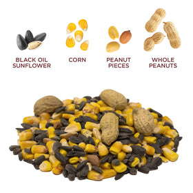 Audubon Park Squirrel & Critter Food close-up with crunchy corn and seeds attracting wildlife