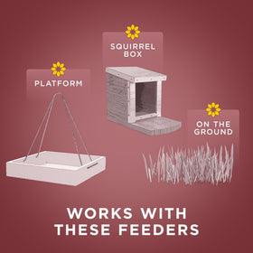 Audubon Park Squirrel & Critter Food in a platform feeder for versatile backyard wildlife viewing