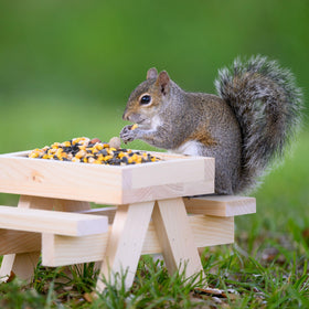 Audubon Park Squirrel & Critter Food shows a delectable mix of nuts and seeds