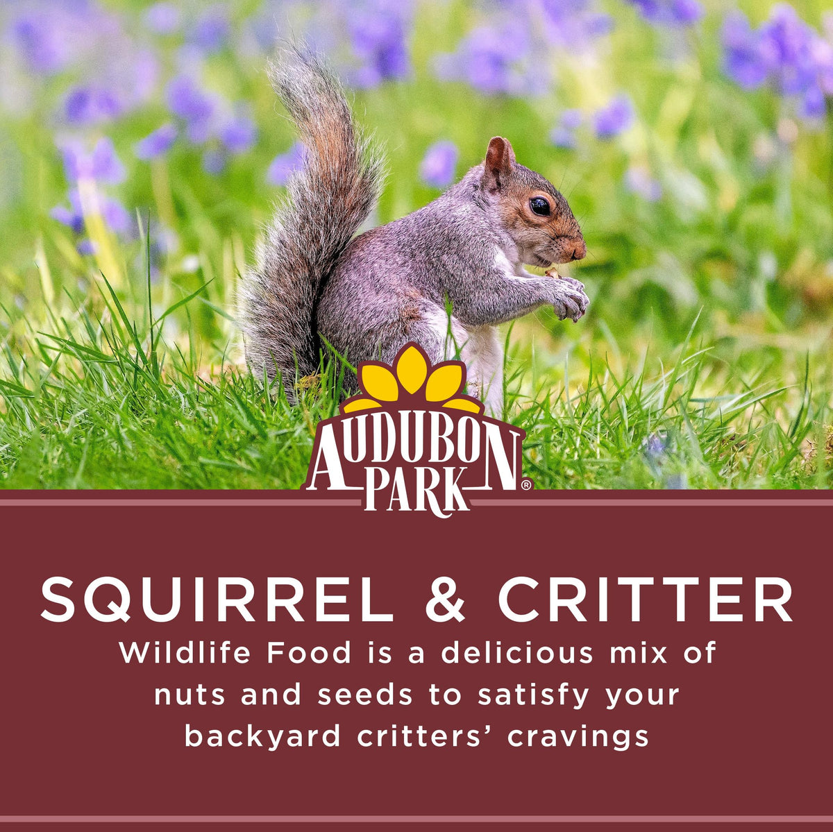 Audubon Park Squirrel & Critter Food in feeder setup encouraging squirrels and jays to visit