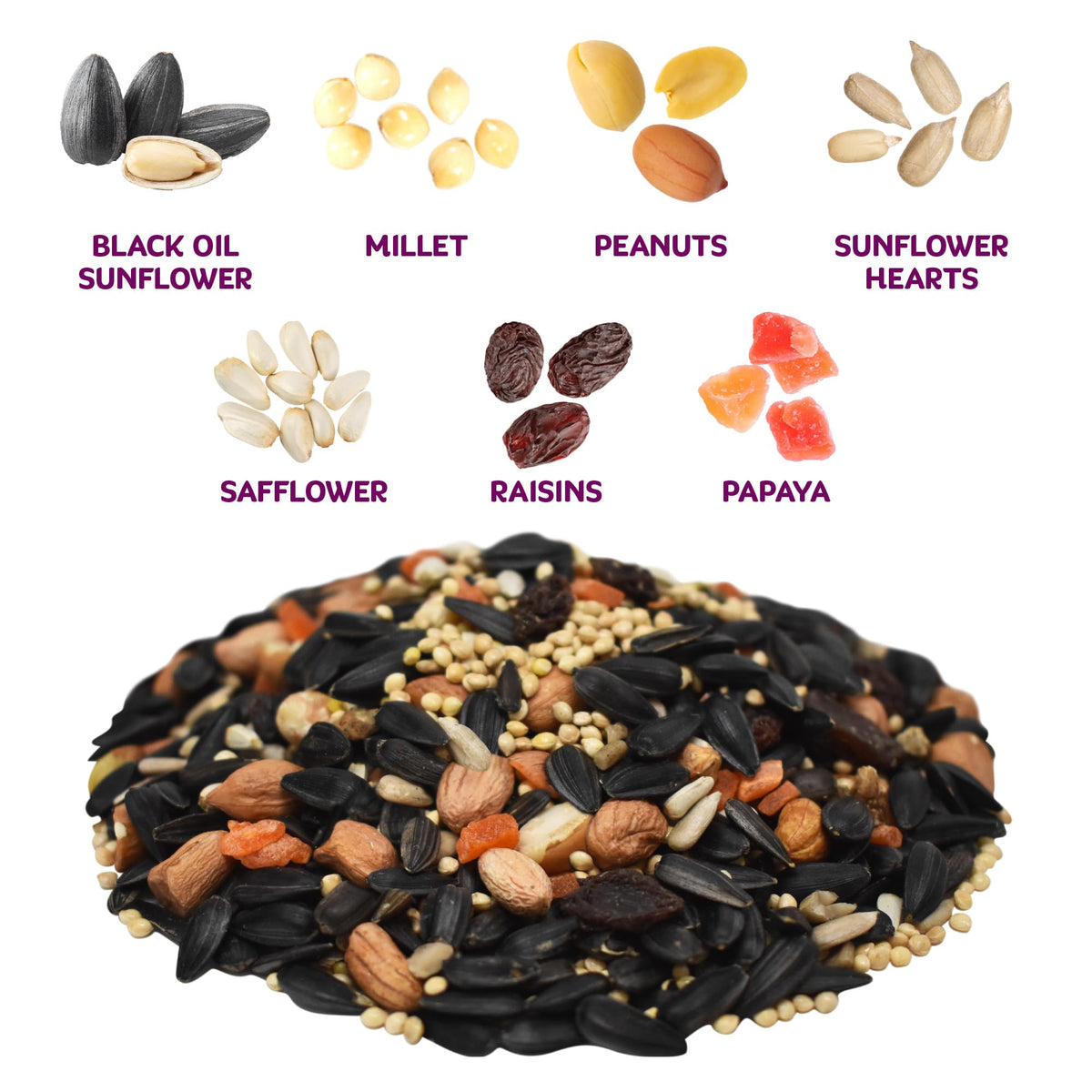 Audubon Park Nut & Fruit seeds close-up showing sunflower seeds for birds
