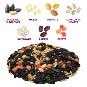 Audubon Park Nut & Fruit seeds close-up showing sunflower seeds for birds