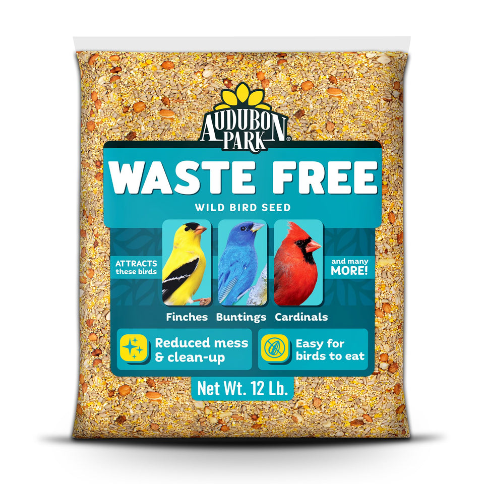 Audubon Park waste-free seed bag 12lb keeps patio feeding tidy.