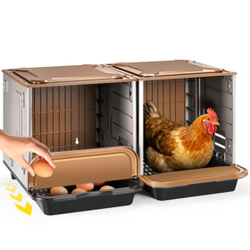 AugFir chicken nesting box with two compartments for organized egg collection.