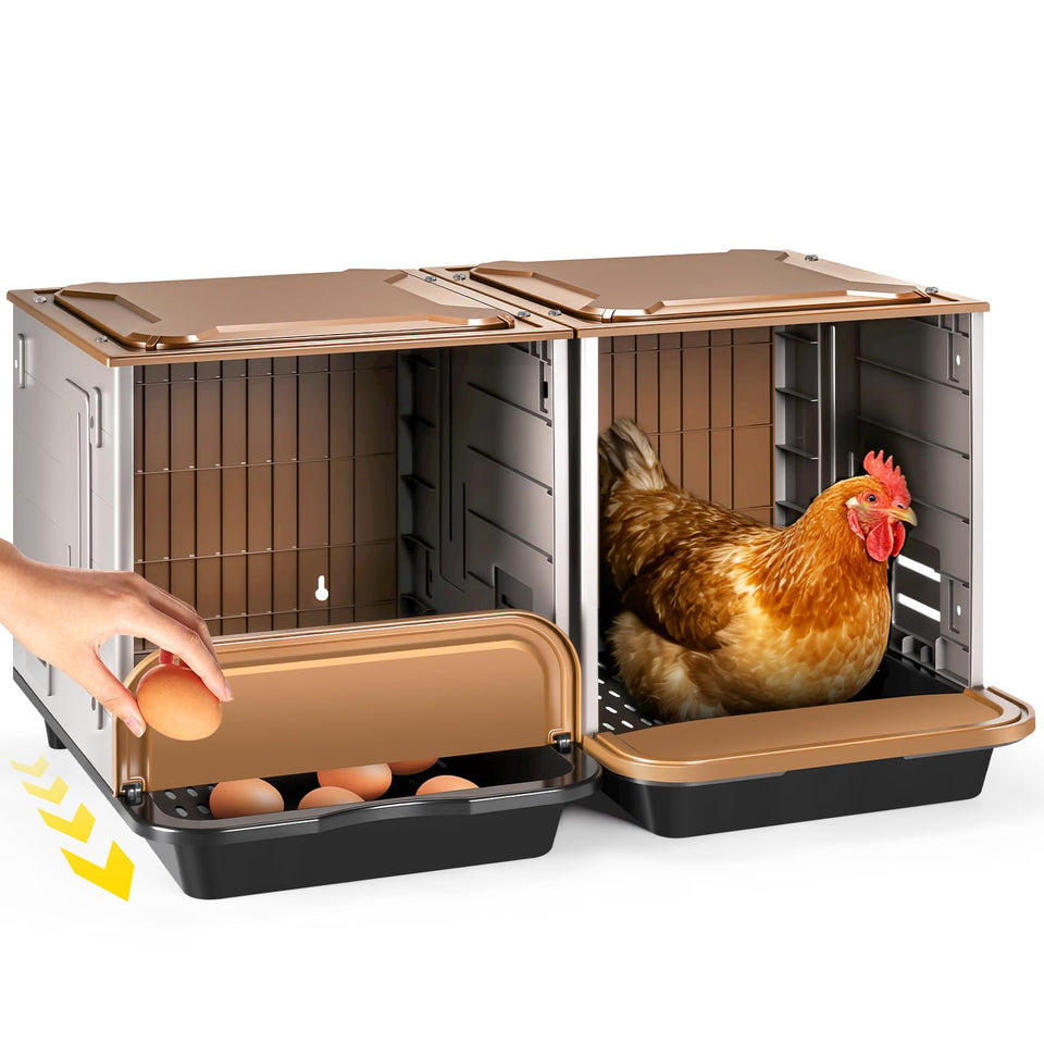 AugFir chicken nesting box with two compartments for organized egg collection.