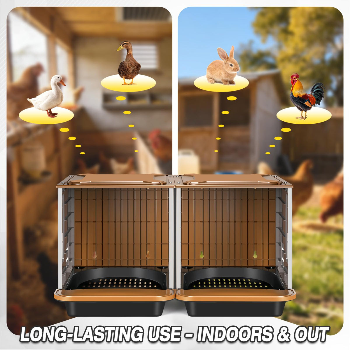 AugFir front lid allows easy egg retrieval.