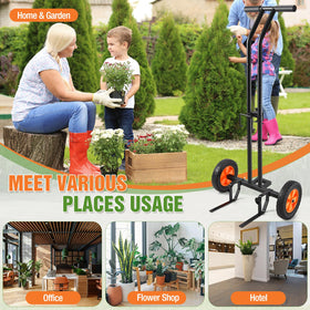 AugFir plant dolly suitable for home, hotel, or garden shop tasks.