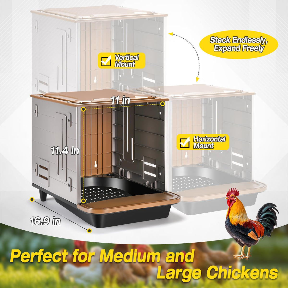 AugFir spacious private compartments suit medium to large hens.