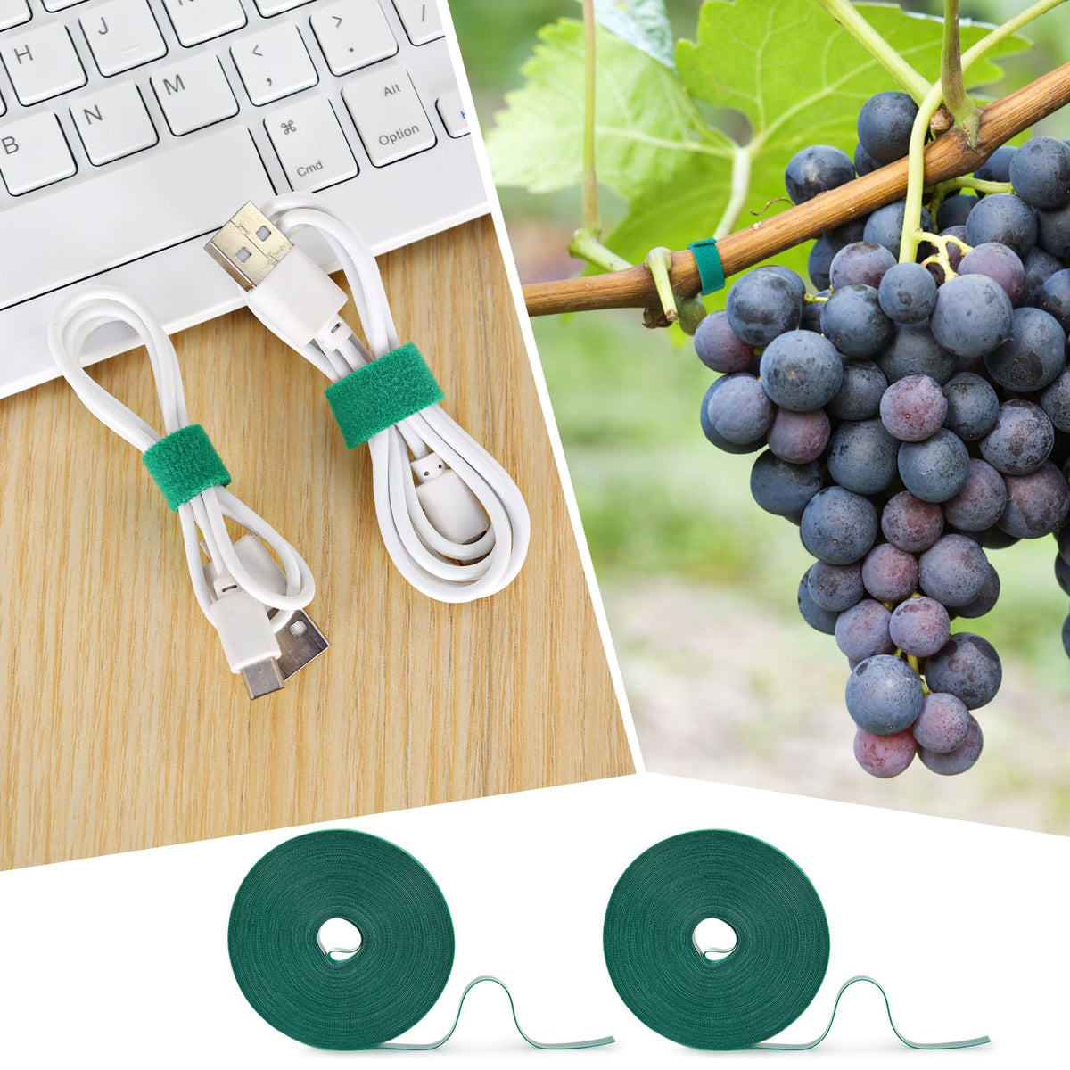 AUGHOA green plant tie offers firm hold during windy weather.