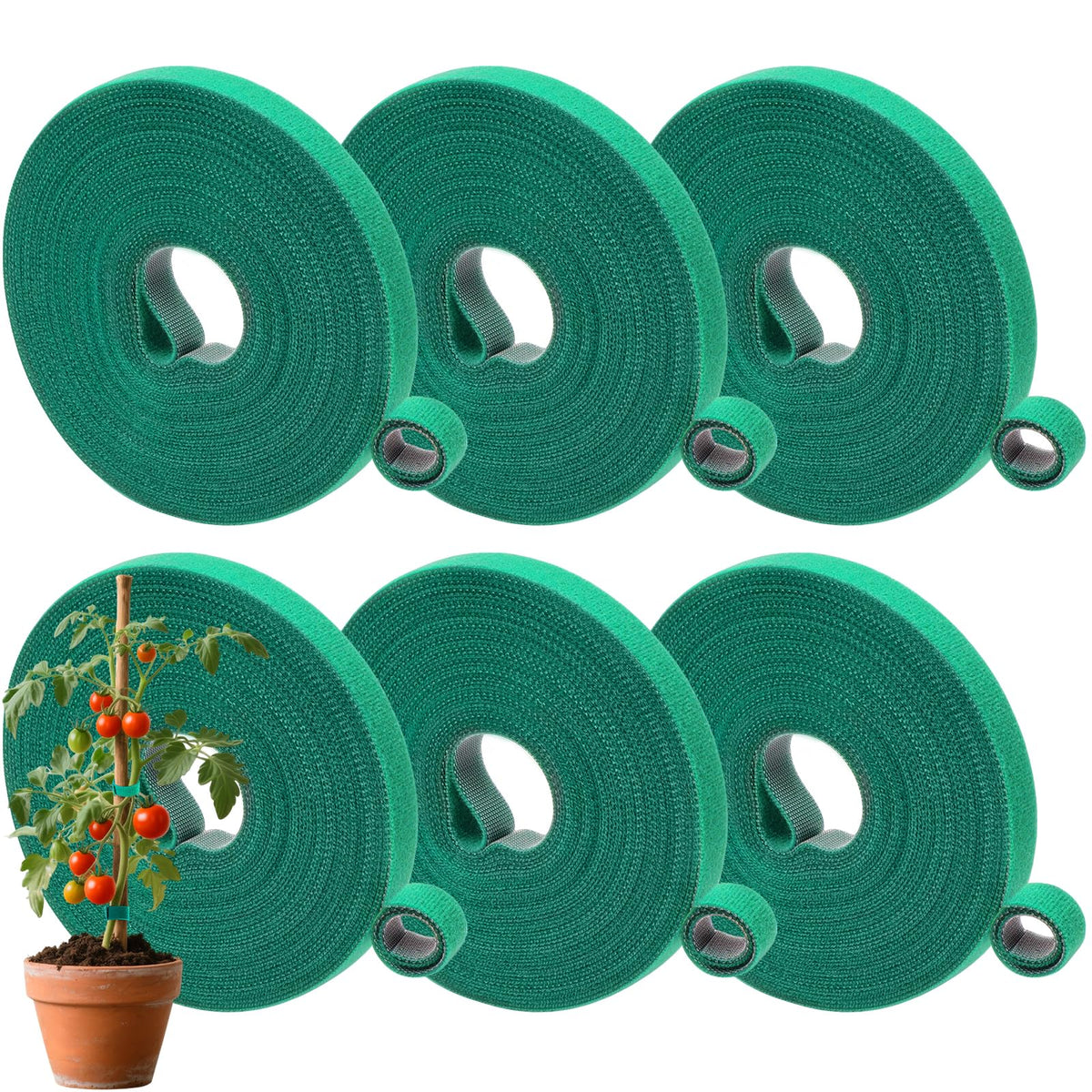 AUGHOA plant tape green roll six-pack shown for versatile garden ties and stakes.
