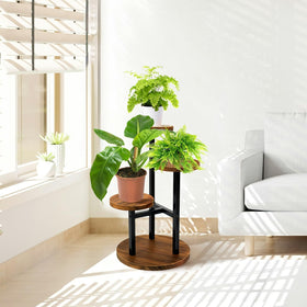 AUGOSTA full-setup shows multiple plants on three levels.