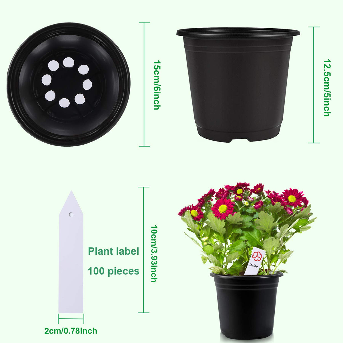 Augshy 100 waterproof labels for labeling seedlings and herbs
