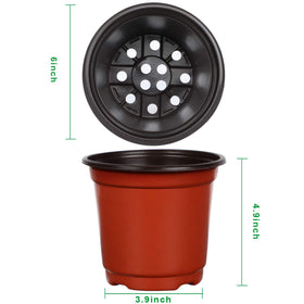 Augshy 110pcs 6-Inch Nursery Pot drainage holes highlight root airflow and drainage.