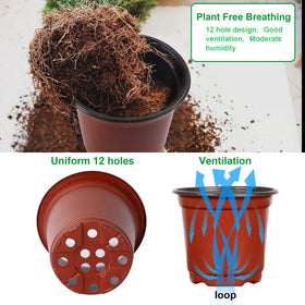 Augshy 6-Inch top 4-Inch bottom design supports succulent seedlings effectively.