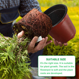 Augshy side view shows durable, reusable PP pots for multiple seasons.