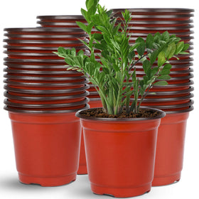 Augshy 110pcs 6-Inch Nursery Pot top view for seed starting and organization.