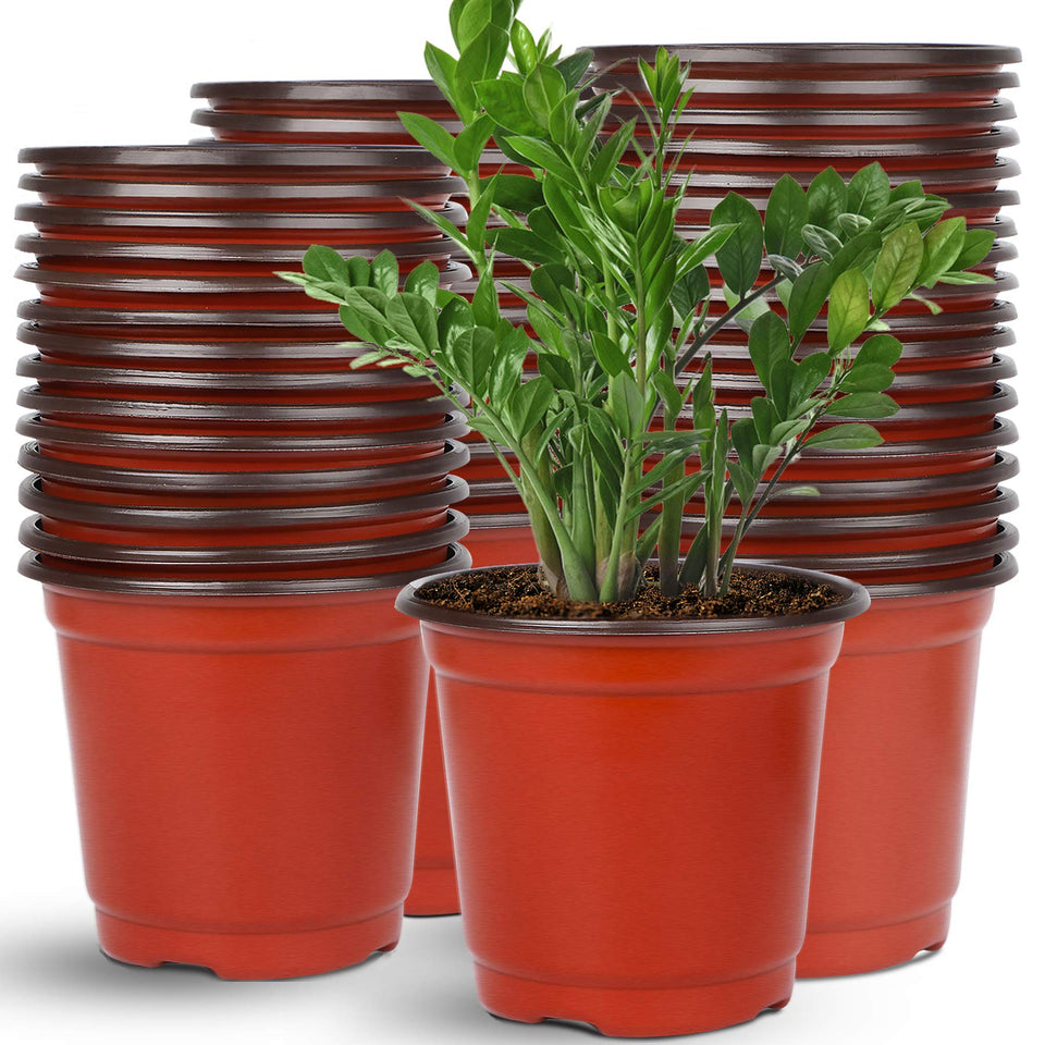 Augshy 110pcs 6-Inch Nursery Pot top view for seed starting and organization.