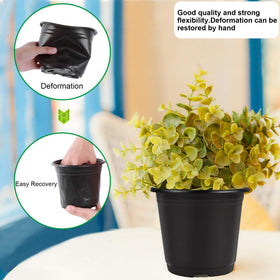 Augshy pots show 12 drainage holes for proper moisture control.