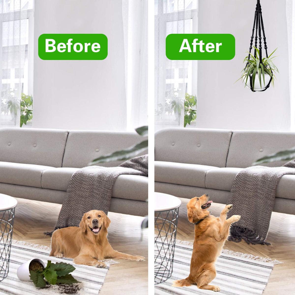 Augshy 35-inch planter display elevates decor while saving floor space.